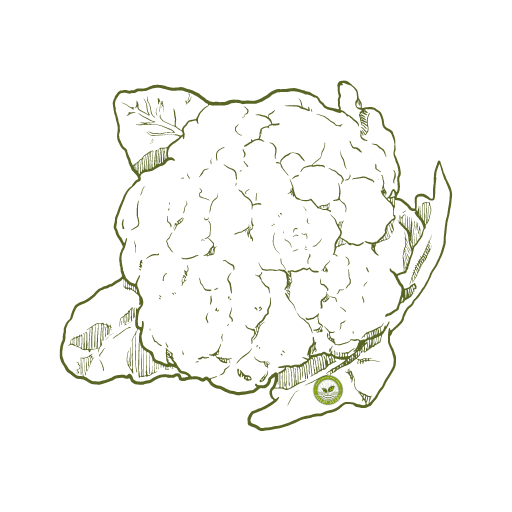 Cauliflower F1 icon