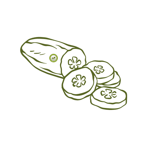 Hybrid Cucumber seeds icon
