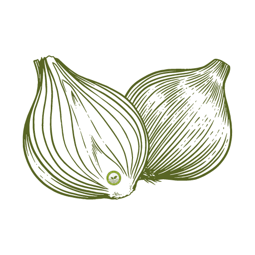 Onion F1 icon