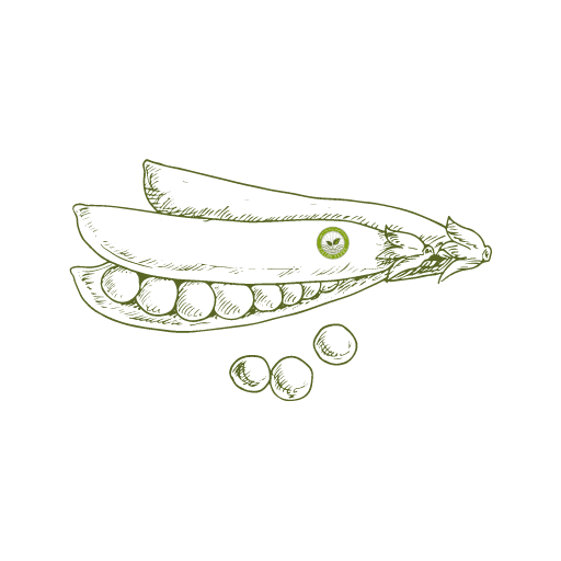 Aleena Hybrid Peas Seeds icon