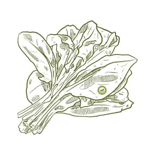 hybrid Palak Seeds icon