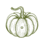 Hybrid Squash Seeds F1 icon