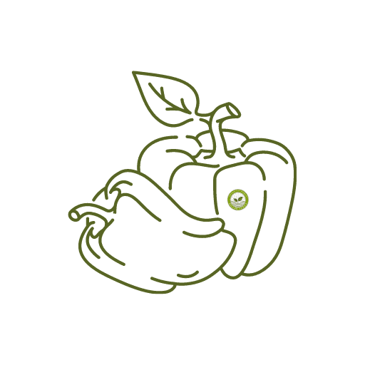 Hybrid Sweet Pepper F1 icon
