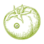 Hybrid Tomato Seeds F1 icon