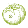 Hybrid Tomato Seeds F1 crop icon