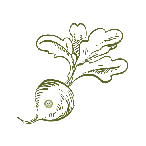 Turnip OPV seeds online icon