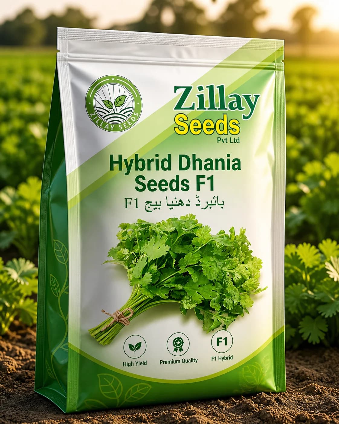 Hybrid Dhania Seeds seed product by Zillay Seeds Pvt Ltd