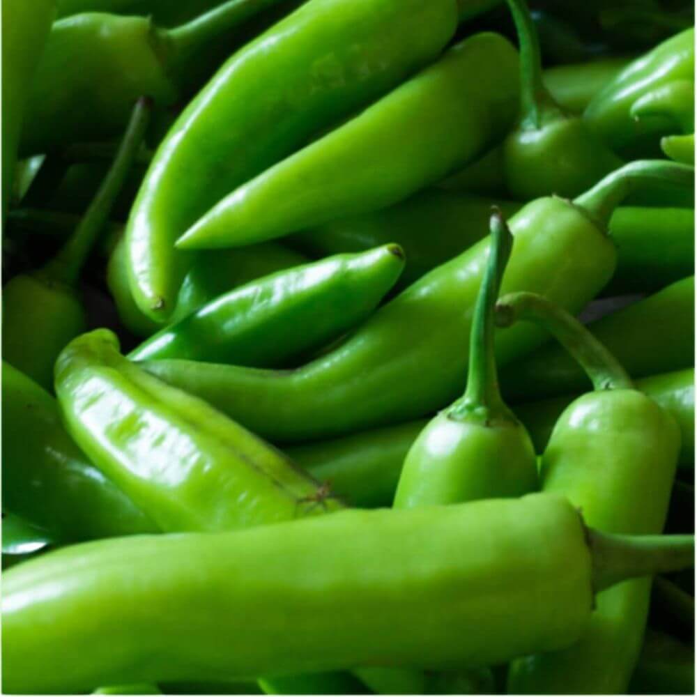 Hybrid Hot Pepper seeds F1 gallery image 2