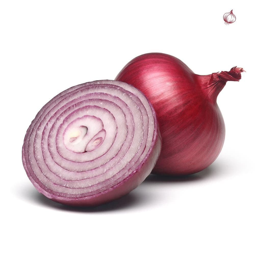Onion F1 gallery image 2