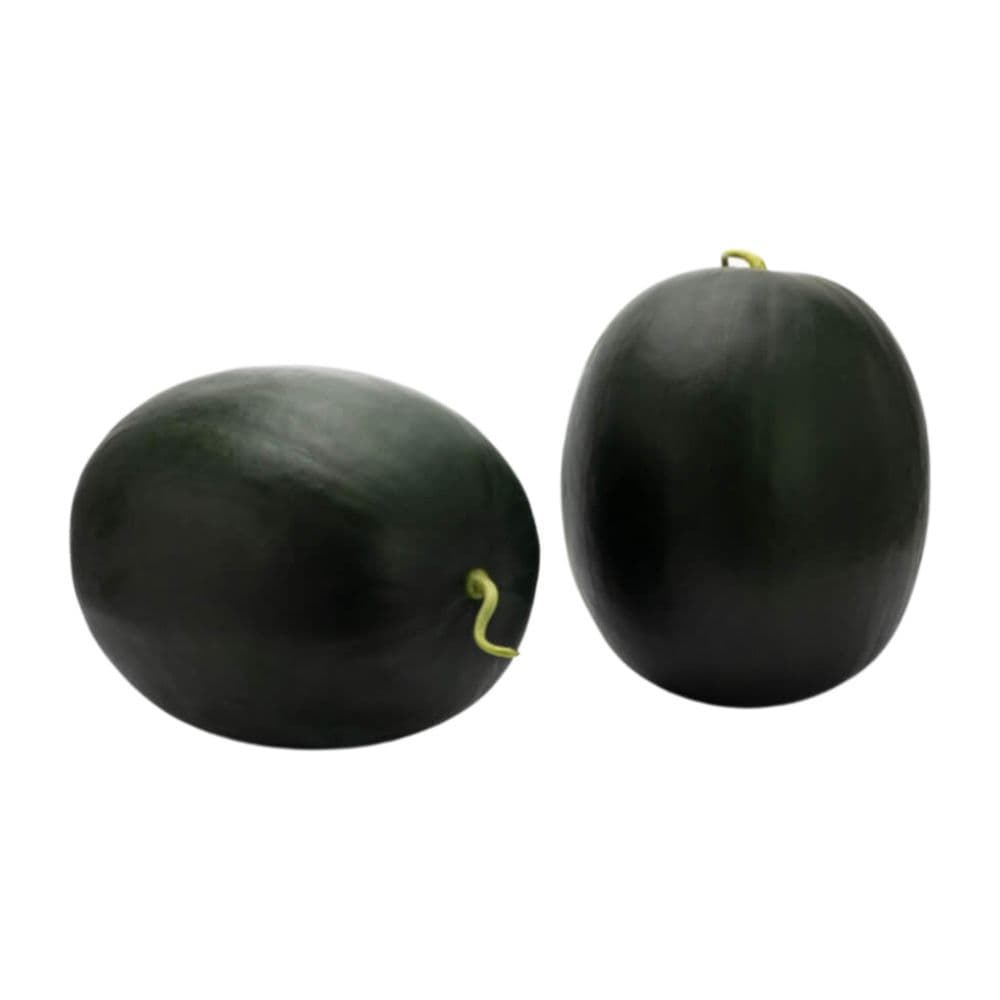 Zillay Seeds crop